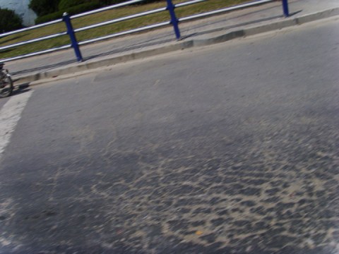 man on bike with pole